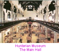 Glasgow The Hunterian Museum Main Hall
