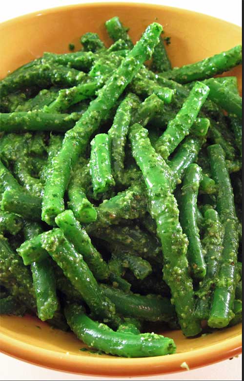 Fabaciae virides (Green Beans in Coriander Sauce)