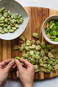 Fava Beans (being peeled)