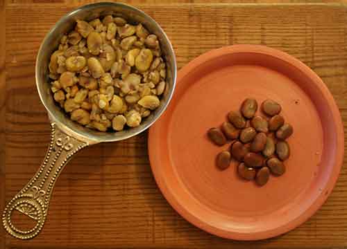 Whole fava beans (Faba Integra)