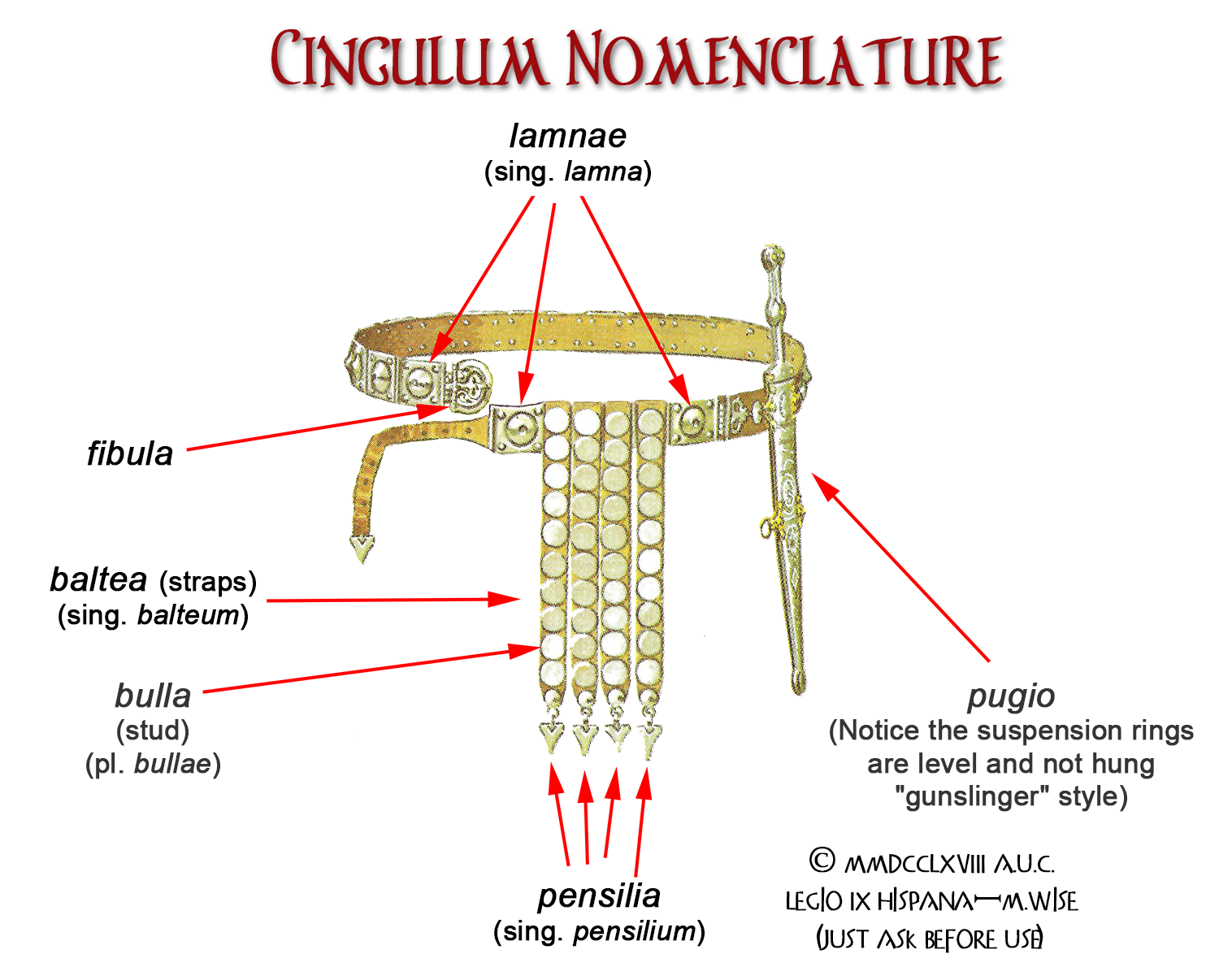 Nomenclature of a Roman Soldier's Belt