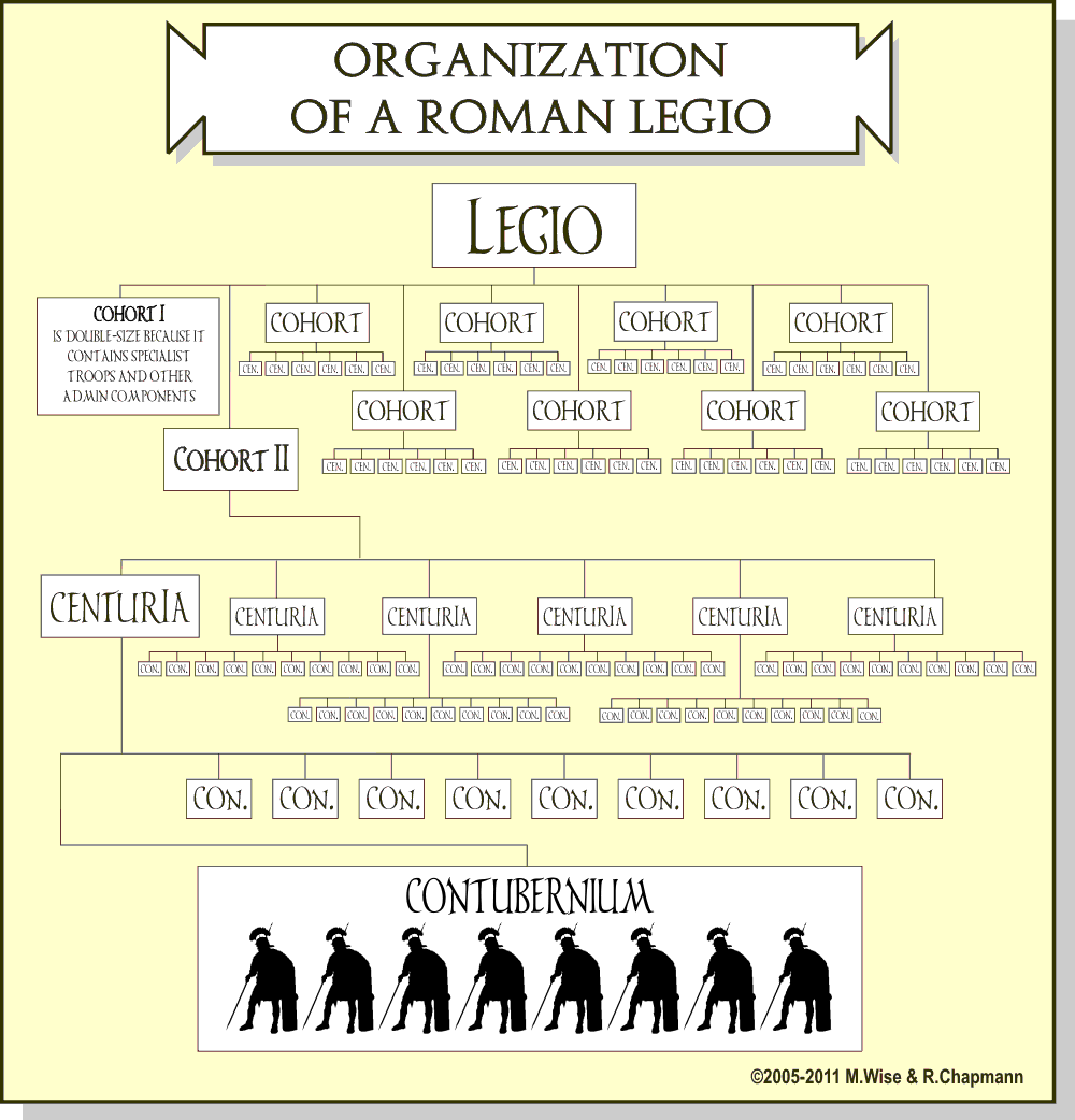 Roman Army Organization Chart