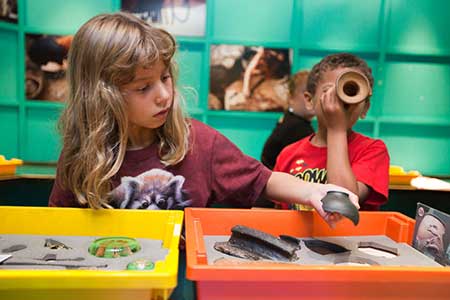 Children enjoying the 'hands on' experience