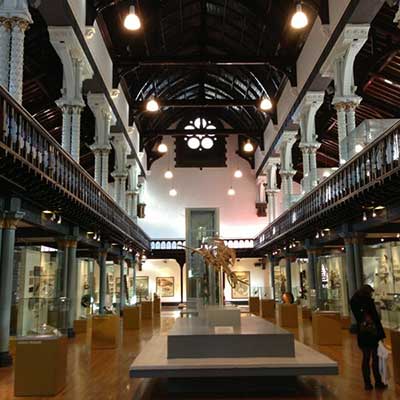 Glasgow The Hunterian Museum Main Hall