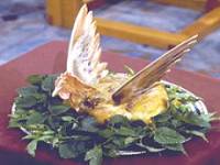 Chicken Frontinian