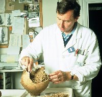 Phil Carter of the Verulamium museum restoring a Roman pot
